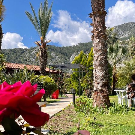 Aida Hotel Cirali Bagian luar foto