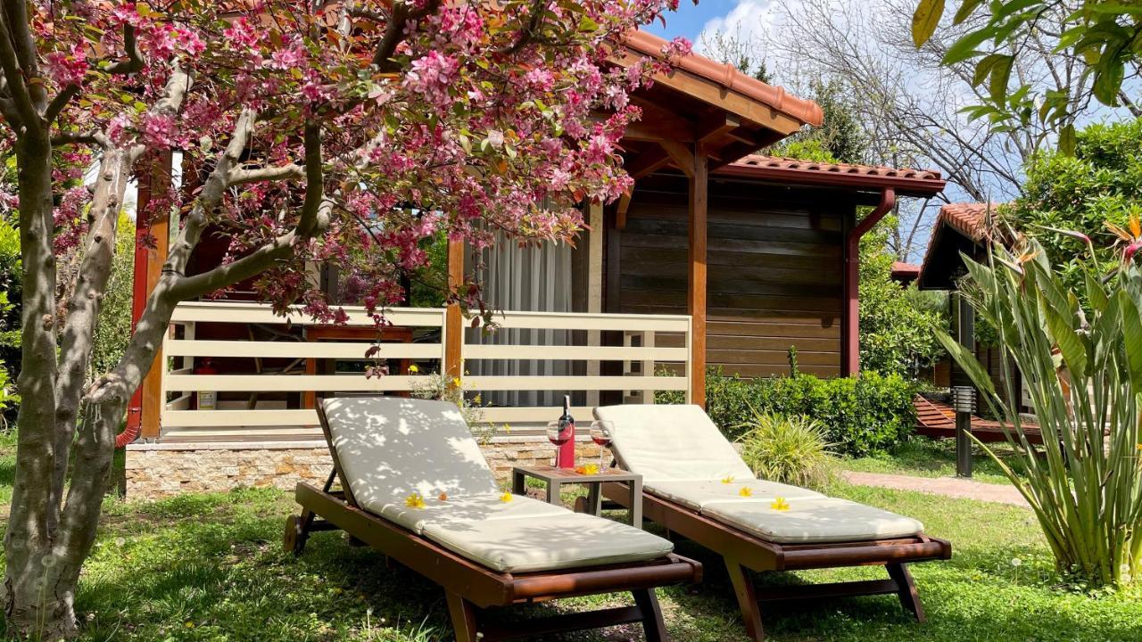 Aida Hotel Cirali Bagian luar foto