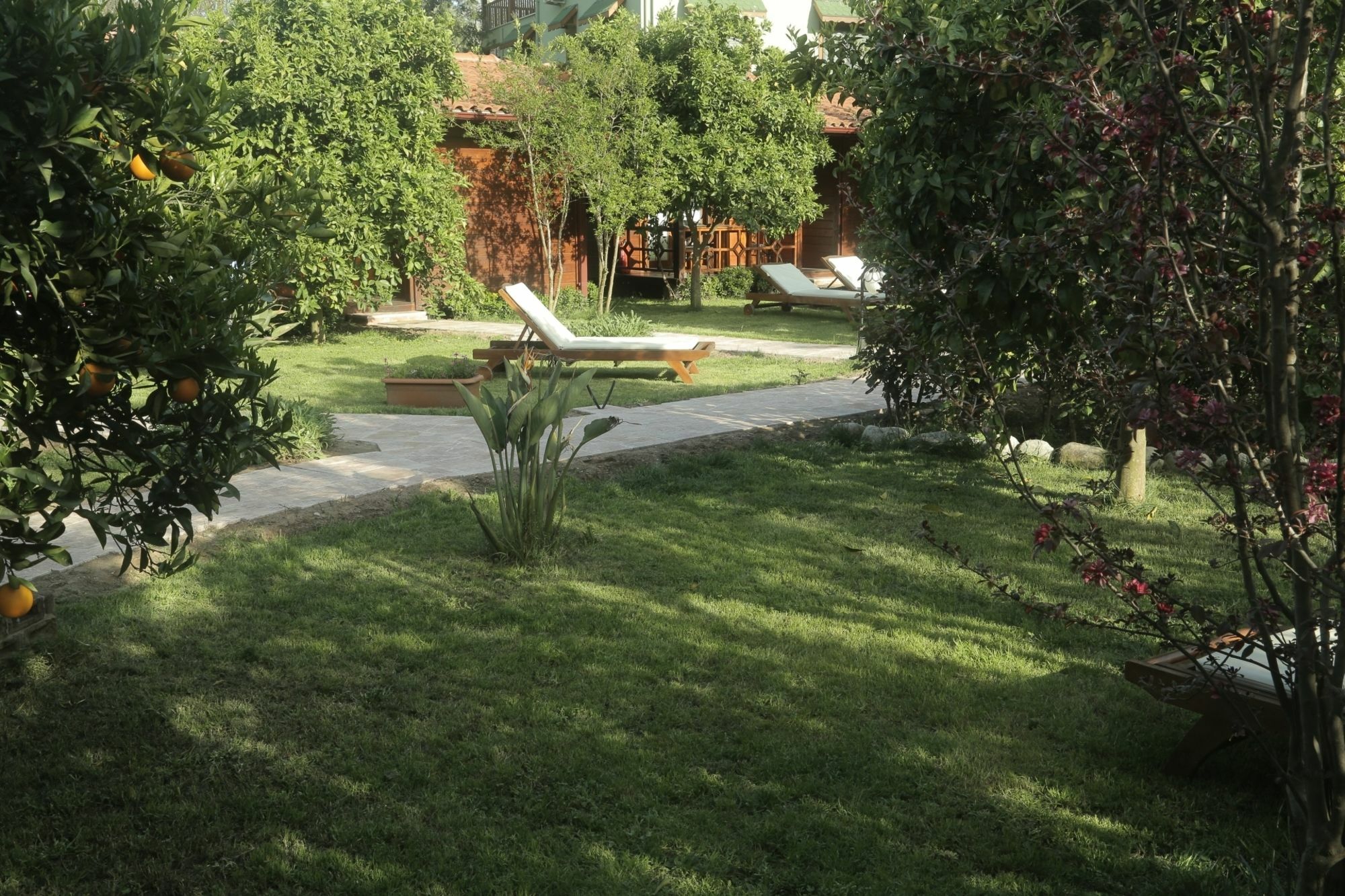 Aida Hotel Cirali Bagian luar foto